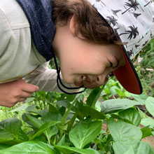 Investigating the Greenhouse Ecosystem at Hildene 