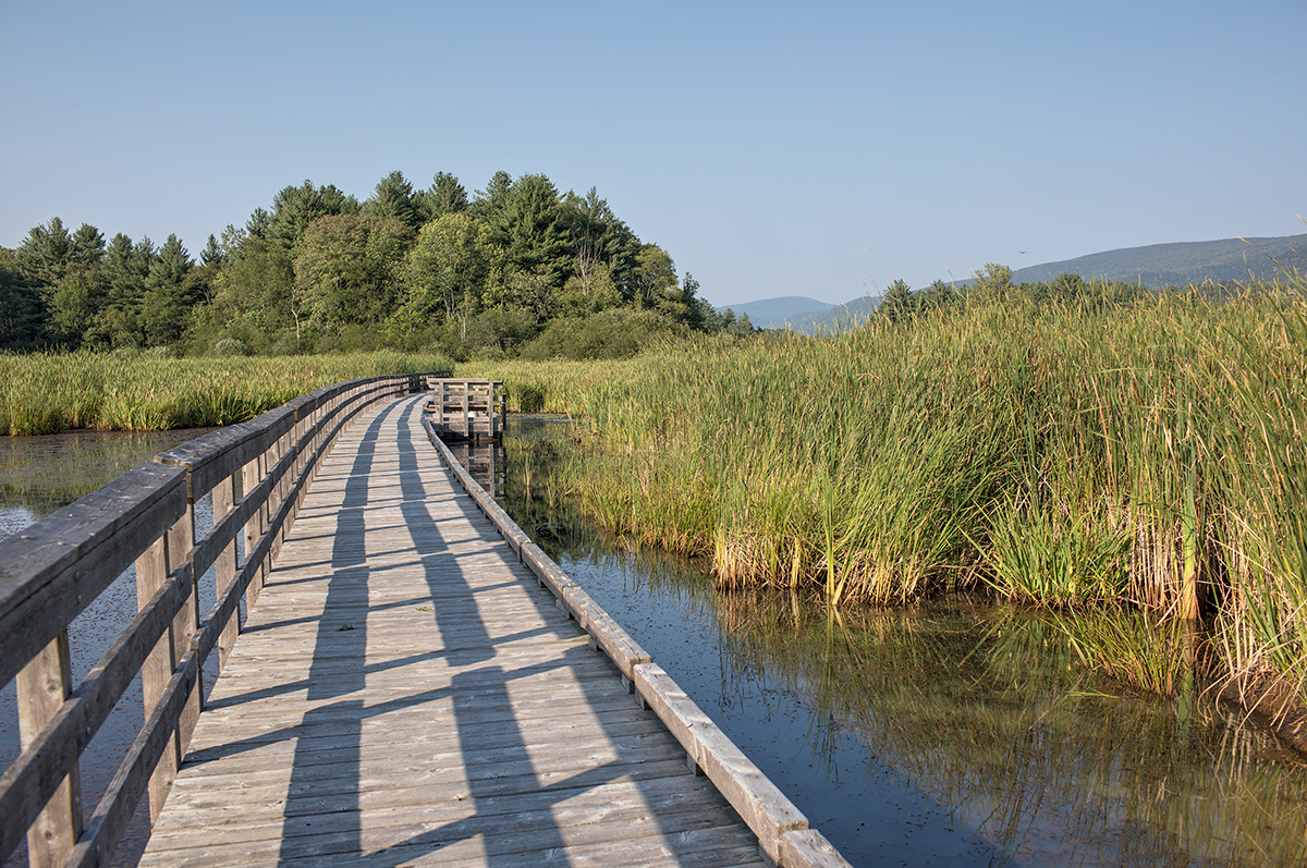 floating boardwalk