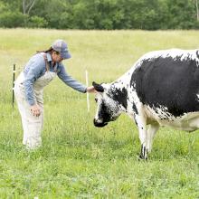 Kim Pinsonneault with a Randall on Hildene Farm