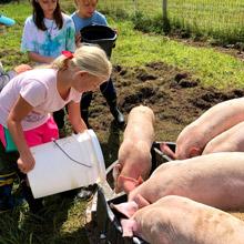 Farm Chores