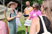 Pollinator Safari